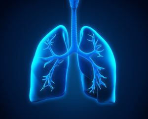 Home Care in Pittsburgh PA: Bronchial Asthma Risks For Seniors